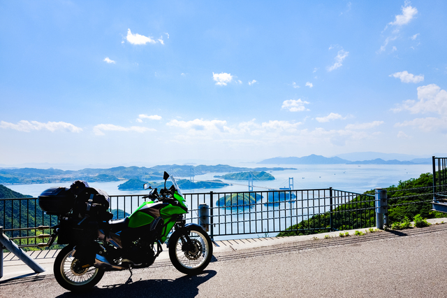 アイペットとアニコムどちらがよいか？違いを徹底比較【2024年最新版】のサムネイル画像