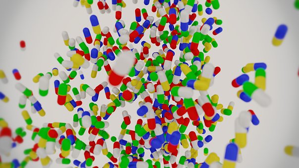 千葉で犬と触れ合えるドッグカフェ8選！犬用メニューやグッズが豊富なお店ものサムネイル画像