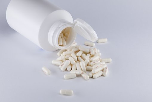 日本猫に純血種はいるの？日本猫の特徴や性格を詳しく紹介しますのサムネイル画像