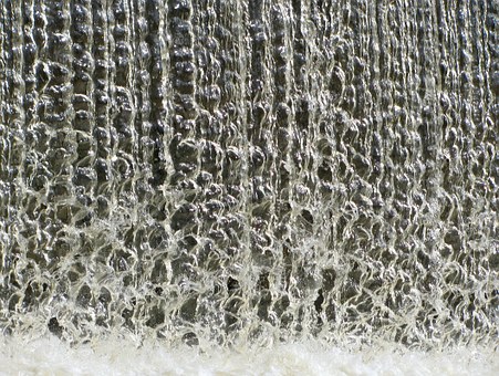 【獣医師監修】犬の鼠径ヘルニアとは？手術や手術費用、術後、再発などを徹底解説！のサムネイル画像