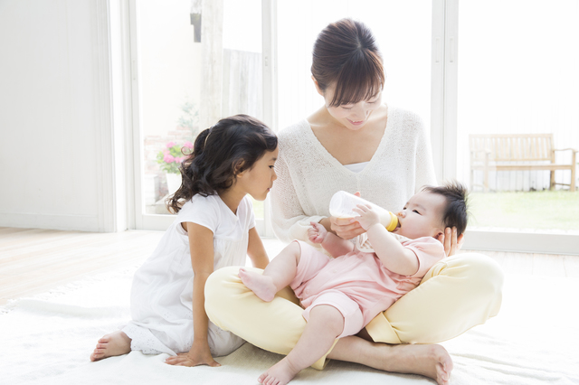 【獣医師監修】アメリカンカールの寿命や性格・飼育方法は？長生きのコツやペット保険の選び方等も解説！のサムネイル画像