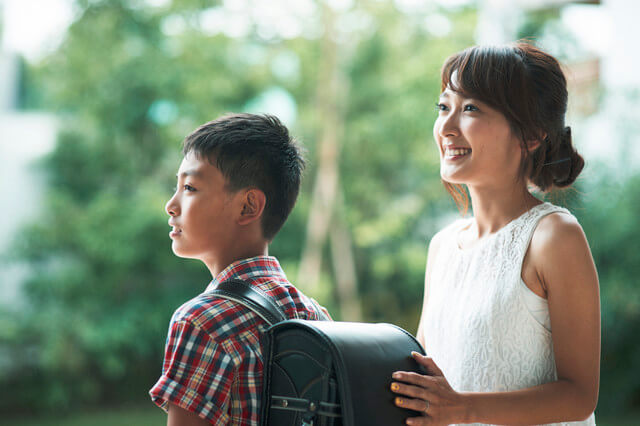 【獣医師監修】スコティッシュフォールドの平均・最高寿命は？短い？長寿のコツは？のサムネイル画像