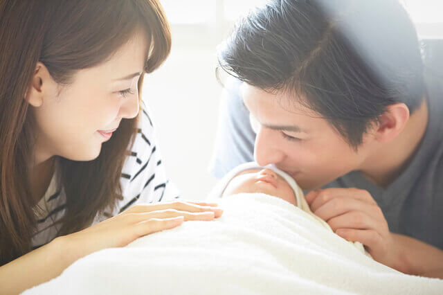 【獣医師監修】シンガプーラの寿命や性格・飼育方法は？長生きのコツや飼いやすさ等も解説のサムネイル画像