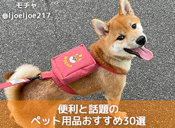 ペットを飼われている方必見 便利と話題のペット用品おすすめ30選