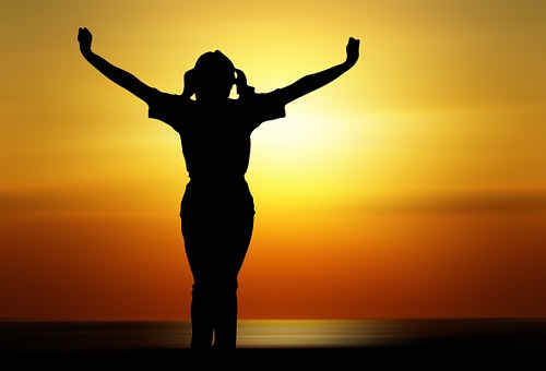 ヨウムの平均寿命は？長生きのコツや値段も紹介【獣医師監修】のサムネイル画像