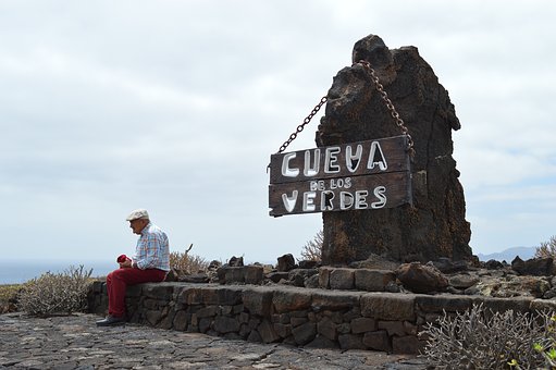 デグーの色は10種類以上？それぞれの見た目や値段を全種類紹介！のサムネイル画像