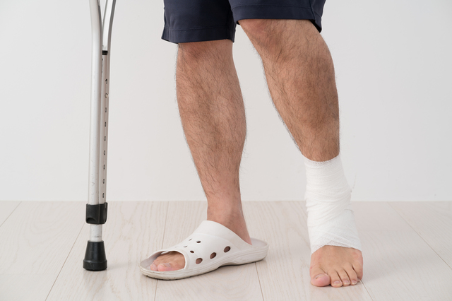 おすすめの名古屋の動物病院はどこ？口コミ・評判も合わせて紹介！のサムネイル画像