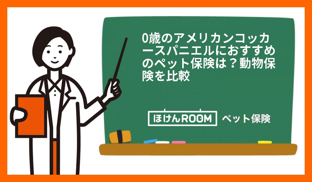 アメリカンコッカースパニエルにおすすめのペット保険は?ランキングや口コミから徹底比較!