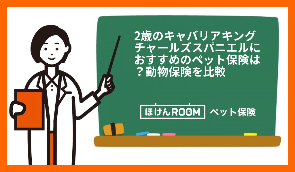 犬 キャバリア キング チャールズ スパニエル 2歳のペット保険比較 おすすめ順