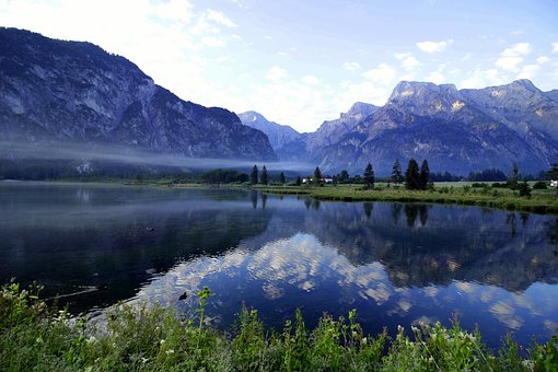 【獣医師監修】猫に瓜実条虫が寄生する？原因や症状、治療法を解説！のサムネイル画像