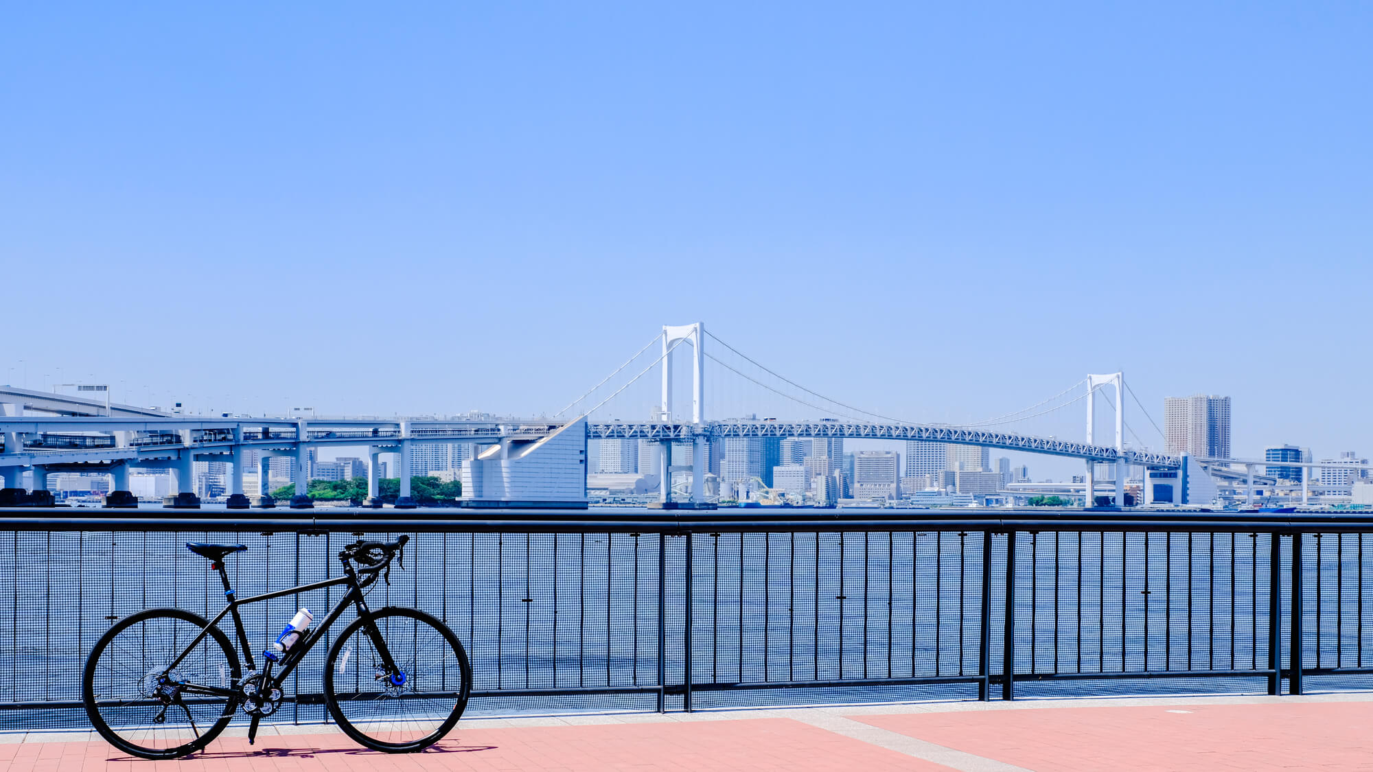 自転車事故 賠償 1億以上 事件