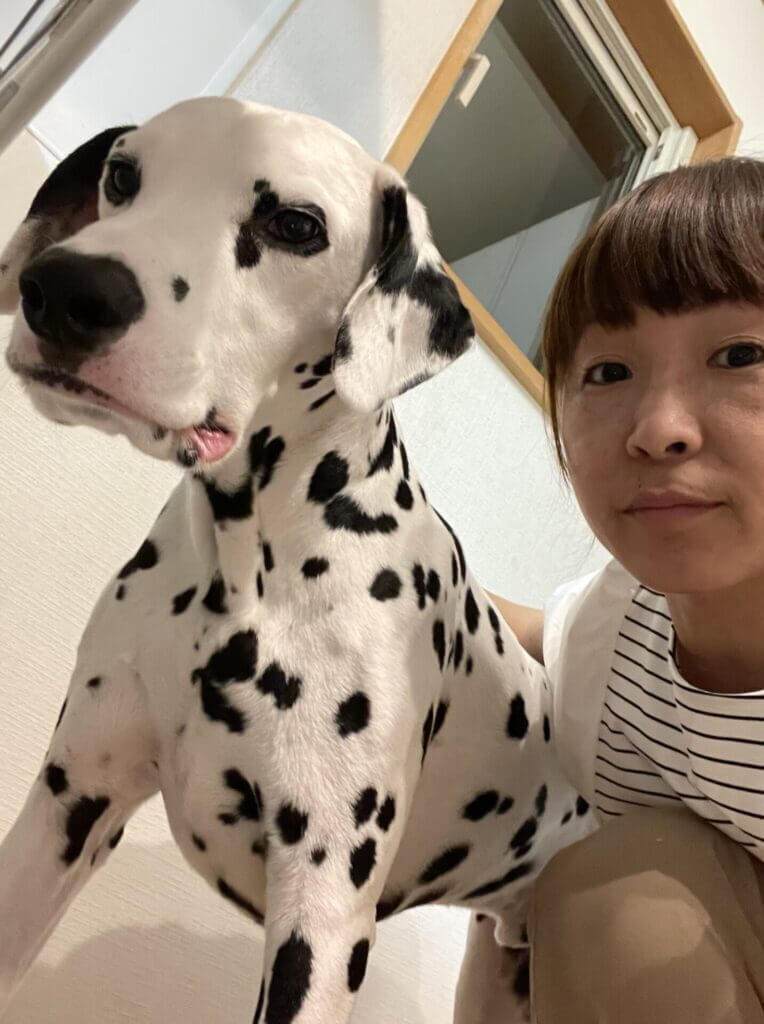 獣医師監修 犬がプラスチックを誤飲してしまった 知るべき症状や対処法は Moffme