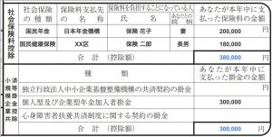 その他の保険料控除の記入例【保険料控除の書き方】