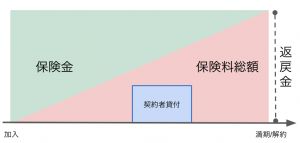 急にお金が必要になったとき 生命保険の契約者貸付制度が使える