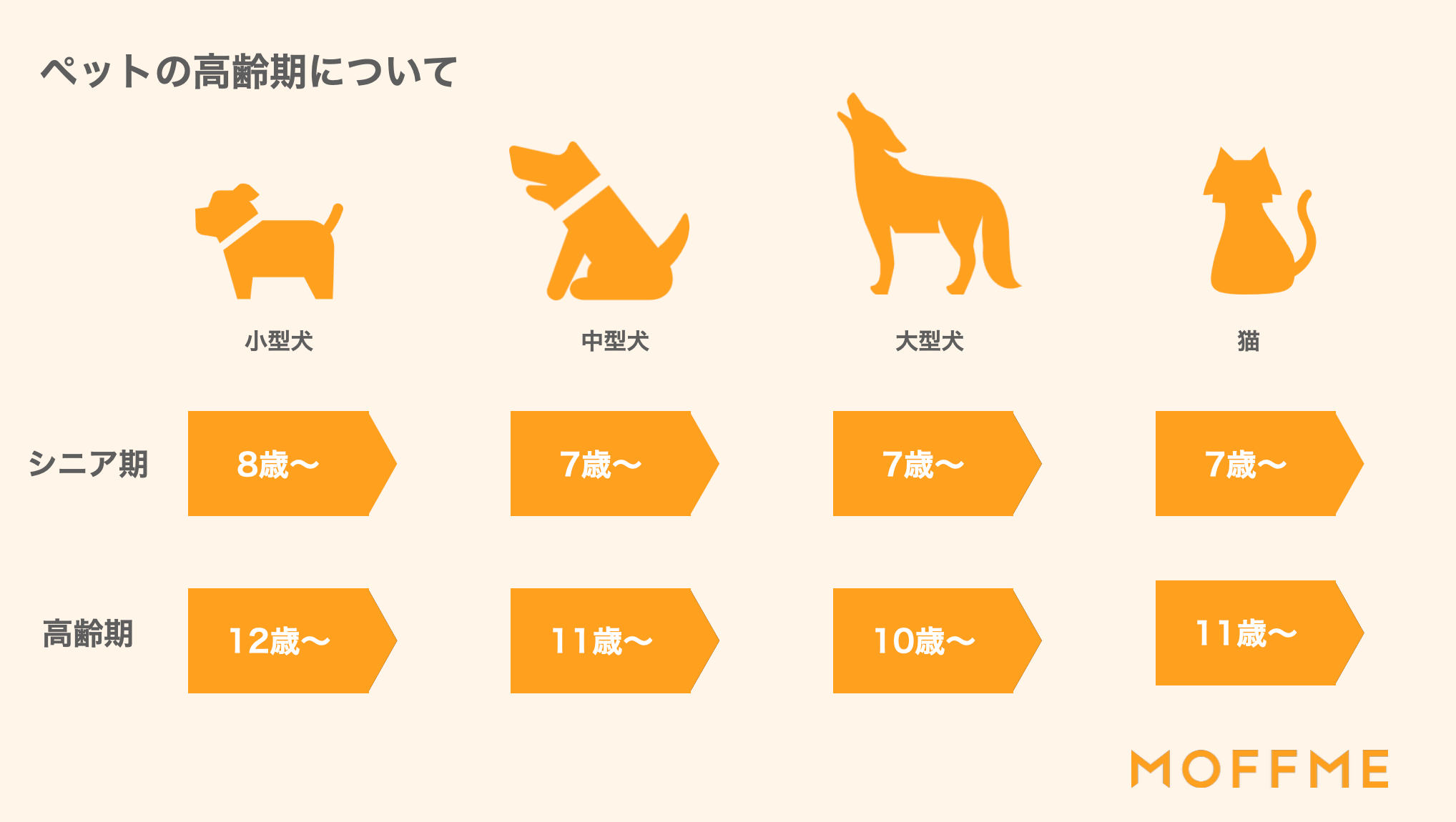 犬や猫の高齢期について