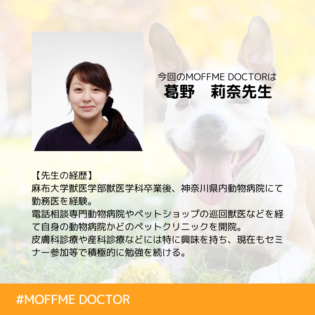 Moffme Doctor Dog 咳が止まらない どうすれば良い Moffme