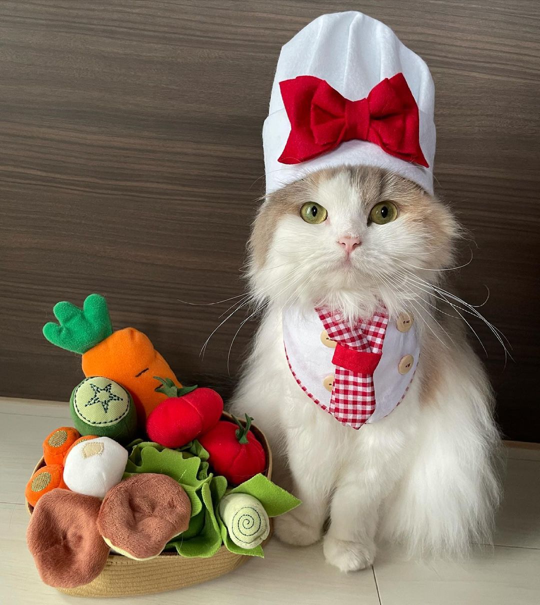 猫にも野菜は必要なの 猫にとって安全な野菜 危険な野菜を紹介