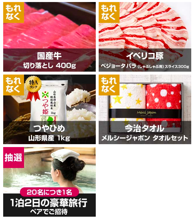 保険マンモスのキャンペーンの内容