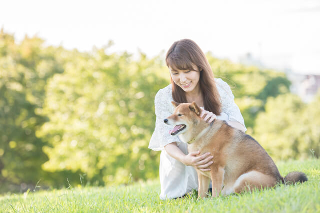 犬が吠えないのはストレスが原因 ストレスサインや解消法も解説