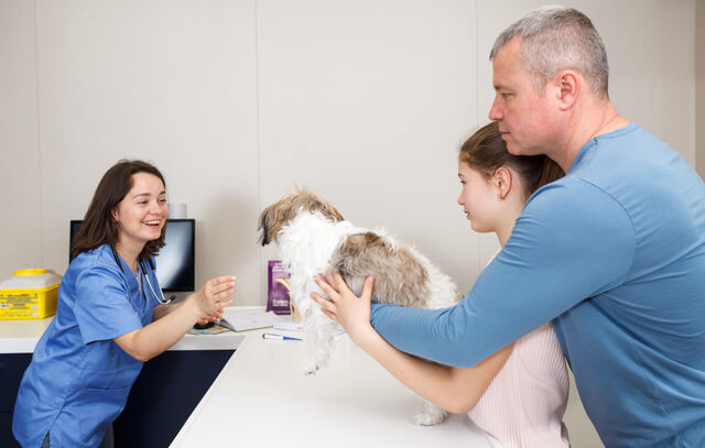 獣医師監修 犬の鼻血は病気や怪我のサイン 鼻血の原因や対処法などを紹介 Moffme