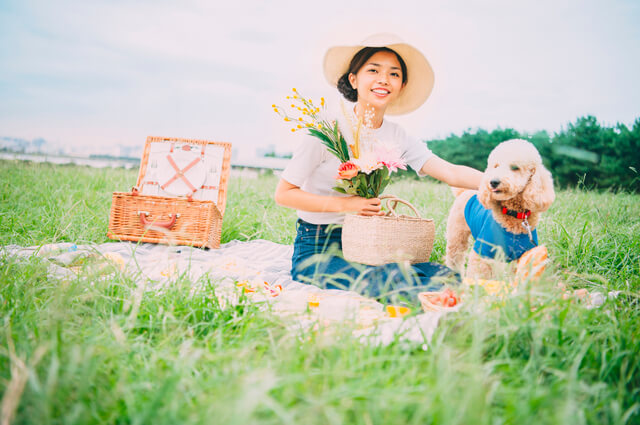 犬がストレスで吐くのは本当 嘔吐の対処法やストレスの原因も解説 Moffme