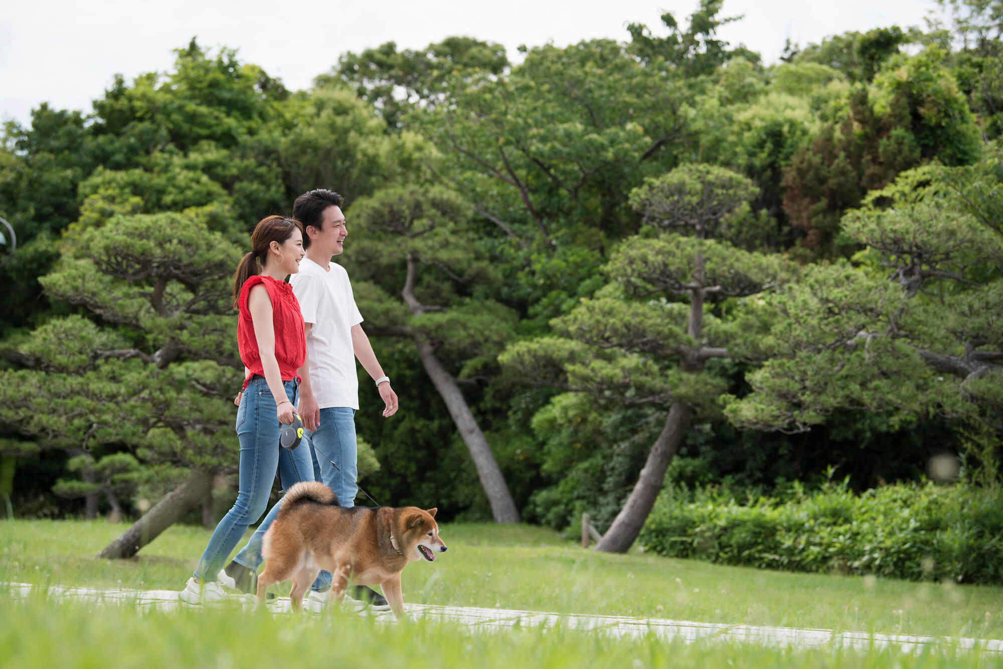 犬のレインコートの選び方は 雨の日のお散歩を快適に過ごす方法 Moffme