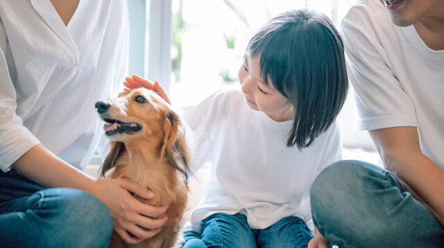 犬はストレスで水を飲まないことがある 飲まない理由や与え方を解説