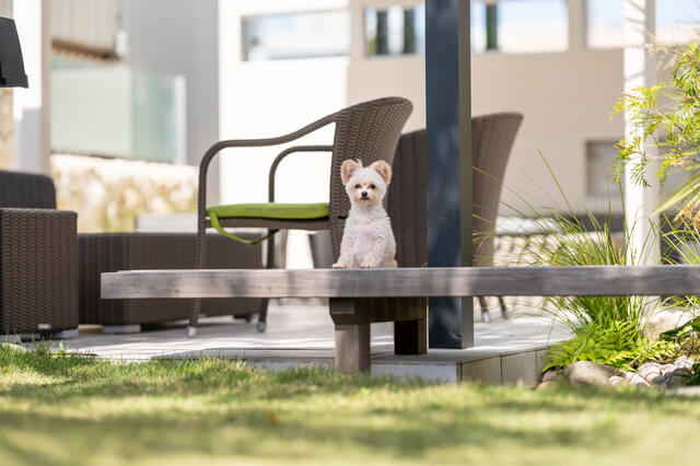 愛犬の室内飼いは部屋の仕切りが大事 床の滑り止めや消臭対策 Moffme