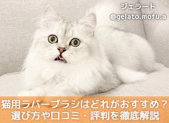 猫用ラバーブラシはどれがおすすめ 選び方や口コミ 評判を徹底解説 Moffme