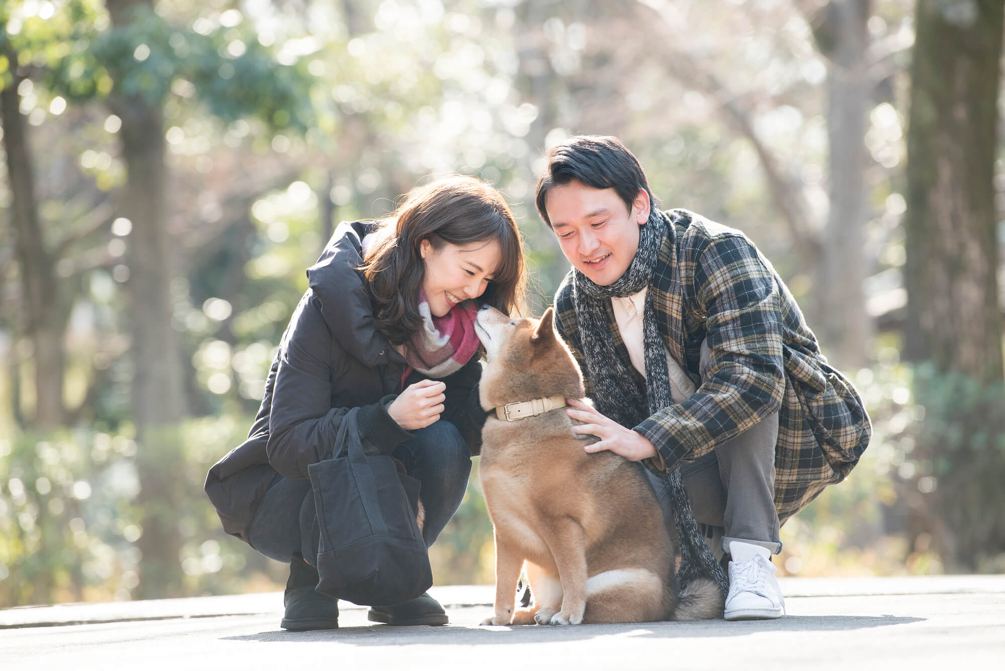 犬の嫌いな音や周波数を詳しく紹介 犬の嫌いな音の対処法など Moffme