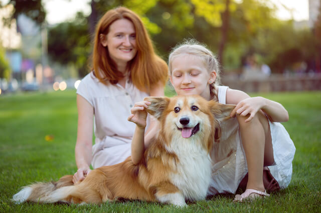 タクシーに愛犬を乗せても大丈夫 乗車マナーやペットタクシーも解説 Moffme