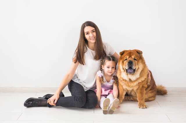 犬が赤ちゃんに優しいのはなぜ Moffme