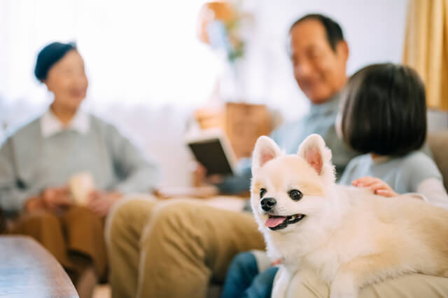 茨城で犬と触れ合えるドッグカフェ34選 おすすめ 人気のドッグカフェは Moffme