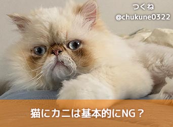 猫にカニは基本的にng 適切な与え方や症状がでた場合の対処法を解説 Moffme