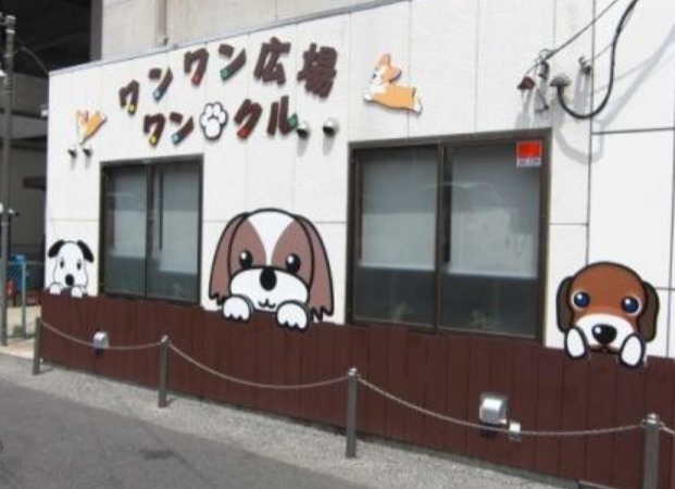 埼玉で犬と触れ合えるドッグカフェ 保護犬の譲渡施設4選 人気の犬カフェは Moffme