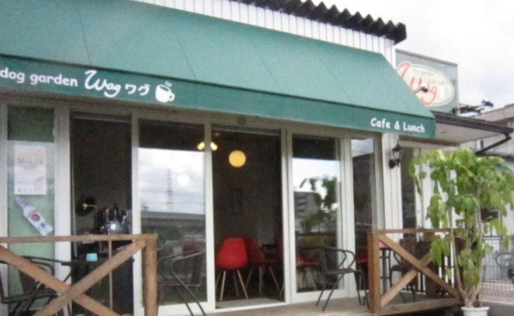 北摂エリアで犬と触れ合えるドッグカフェ3選 本格カフェメニューも Moffme 北摂エリアで犬と触れ合えるドッグカフェ3選 本格カフェメニューも Moffme