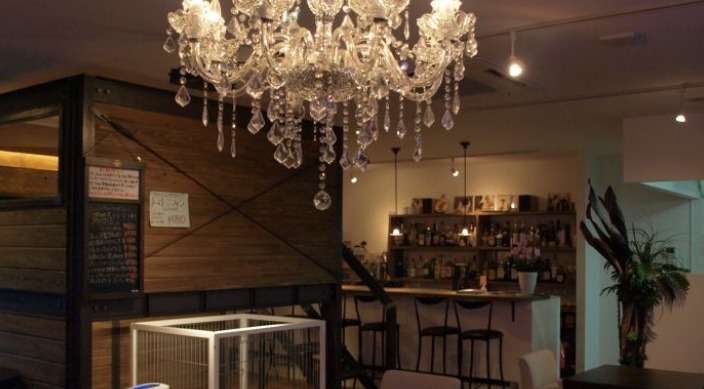 広島で犬と触れ合えるドッグカフェ10選 おすすめ 人気のドッグカフェは Moffme