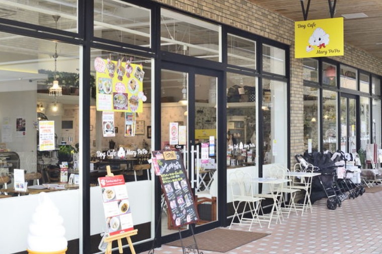 広島で犬と触れ合えるおすすめドッグカフェ！グッズ販売やイベントも｜MOFFME