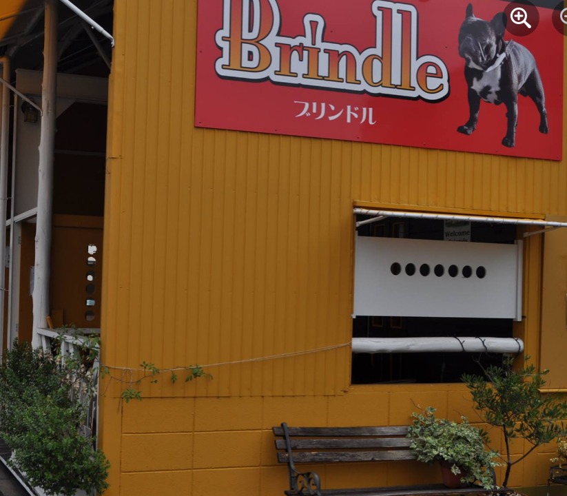 広島で犬と触れ合えるドッグカフェ10選 おすすめ 人気のドッグカフェは Moffme